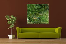 Vincent van Gogh Obraz - Clumps of Grass zs18383