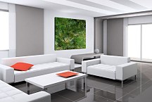 Vincent van Gogh Obraz - Clumps of Grass zs18383