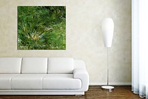 Vincent van Gogh Obraz - Clumps of Grass zs18383