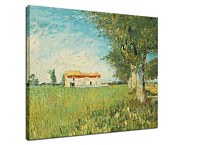 Reprodukcie Vincent van Gogh - Farmhouse in a Wheat Field zs18389