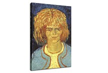 Vincent van Gogh obraz - Girl with Ruffled Hair zs18395
