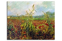 Vincent van Gogh obraz - Green Ears of Wheat zs18396