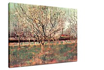 Orchard in Blossom, Plum Trees zs18420 - Vincent van Gogh obraz