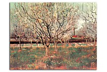 Orchard in Blossom, Plum Trees zs18420 - Vincent van Gogh obraz