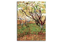  Vincent van Gogh obraz - Orchard in Blossom zs18422