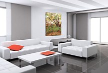  Vincent van Gogh obraz - Orchard in Blossom zs18422