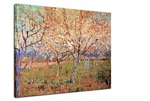  Vincent van Gogh obraz - Orchard with Blossoming Apricot Trees zs18425
