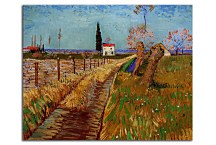  Vincent van Gogh obraz - Path Through a Field with Willows zs18427