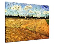 Reprodukcia Vincent van Gogh The Ploughed Field zs18431