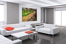  Vincent van Gogh obraz - Pollard Willows zs18432