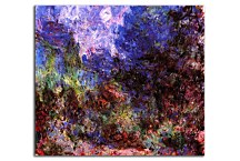 Monet Reprodukcia na plátne - Rosebush in Blossom zs18453