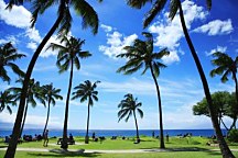 Obrazy Prírody zs18501