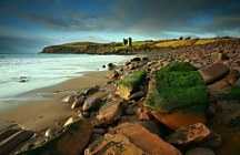 Obraz Pri mori zs18534