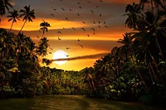 Obraz na stenu ZS - bez pomeru strán