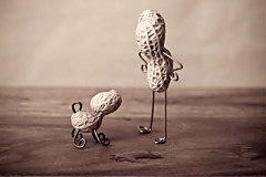 Obraz na stenu ZS - bez pomeru strán