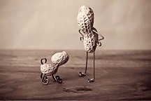 Obraz pre deti Oriešky zs18620