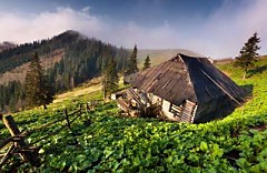 Obraz na stenu ZS - bez pomeru strán