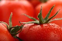 Obraz na stenu ZS - bez pomeru strán