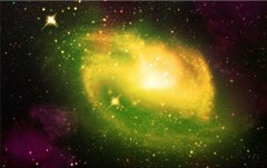 Obraz na stenu ZS - bez pomeru strán