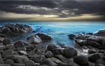 Obraz Prírody zs198