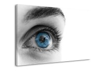 Obraz Oko zs201