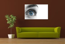 Obraz Oko zs201