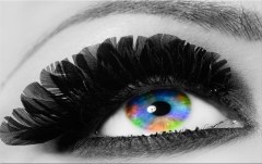 Obraz na stenu ZS - bez pomeru strán