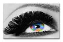 Obraz - Oko a mihalnice zs211