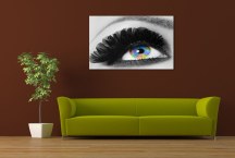 Obraz - Oko a mihalnice zs211