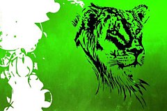 Obraz na stenu ZS - bez pomeru strán