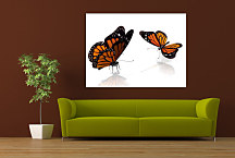 Detské obrazy Motýle zs24037
