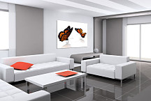 Detské obrazy Motýle zs24037