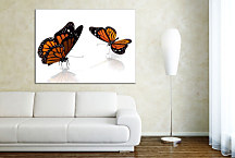 Detské obrazy Motýle zs24037