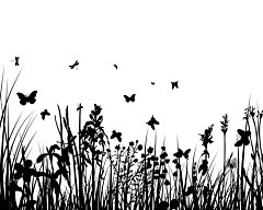 Obraz na stenu ZS - bez pomeru strán