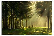 Obraz Príroda zs24049