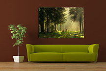 Obraz Príroda zs24049