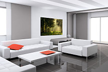 Obraz Príroda zs24049