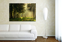 Obraz Príroda zs24049