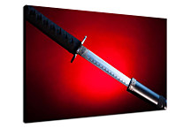 Obraz - Meč zs24059