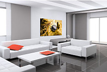 Obrazy Staré Mapy zs24069