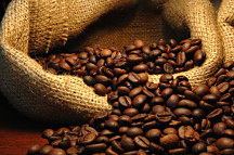 Obrazy Káva zs24076