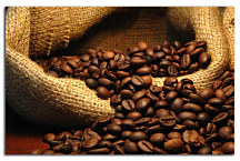 Obrazy Káva zs24076