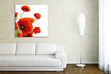 Obrazy Kvety - Divé Maky zs24080