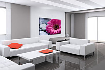 Obrazy Kvet - Ružový zs24098