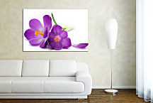 Obraz Kvety Fialové zs24105