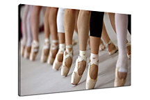 Obraz - Baletky zs24113