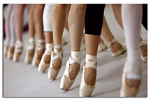 Obraz - Baletky zs24113