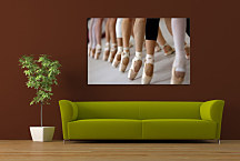 Obraz - Baletky zs24113