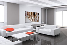 Obraz - Baletky zs24113