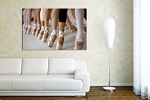 Obraz - Baletky zs24113